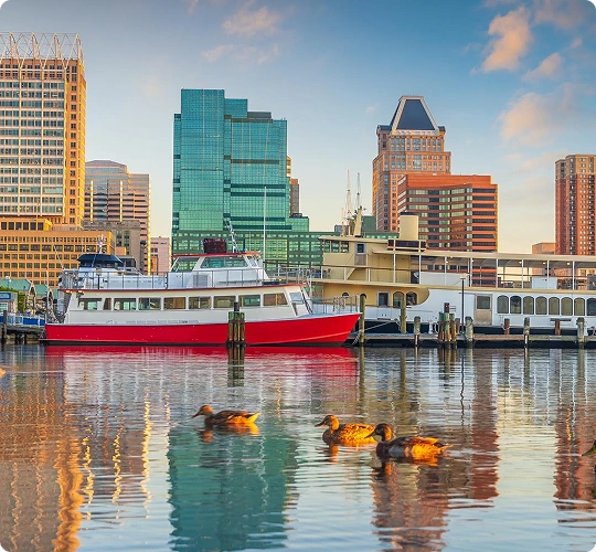 Morning view of Baltimore’s Inner Harbor with bright boats docked along the waterfront, city skyscrapers glowing in soft sunlight, and ducks gliding peacefully across the shimmering water. 