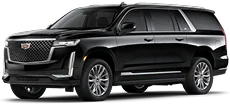 Luxury SUVs: Spacious black Cadillac SUV designed for premium group travel.